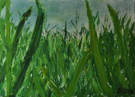 Gras spüren