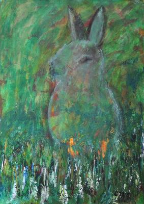 Hase