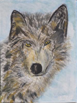 Wolfsblick