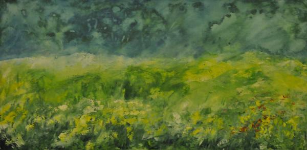 Sommerwiese