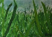 Gras spüren