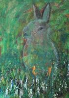 Hase