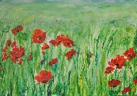 Mohn