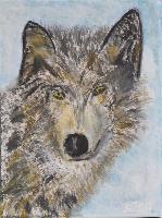 Wolfsblick
