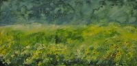 Sommerwiese
